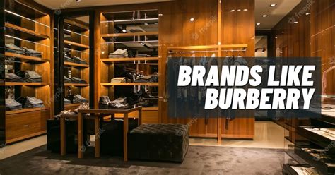 brands like burberry but cheaper|burberry brand comparables.